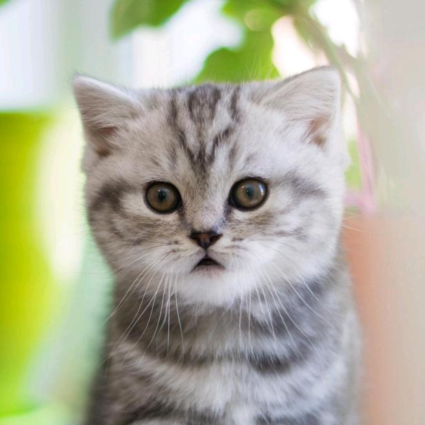 黄冈市黄州区果桶装水配送