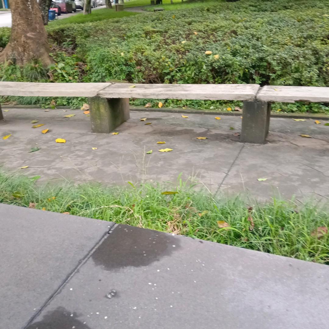 周一春
