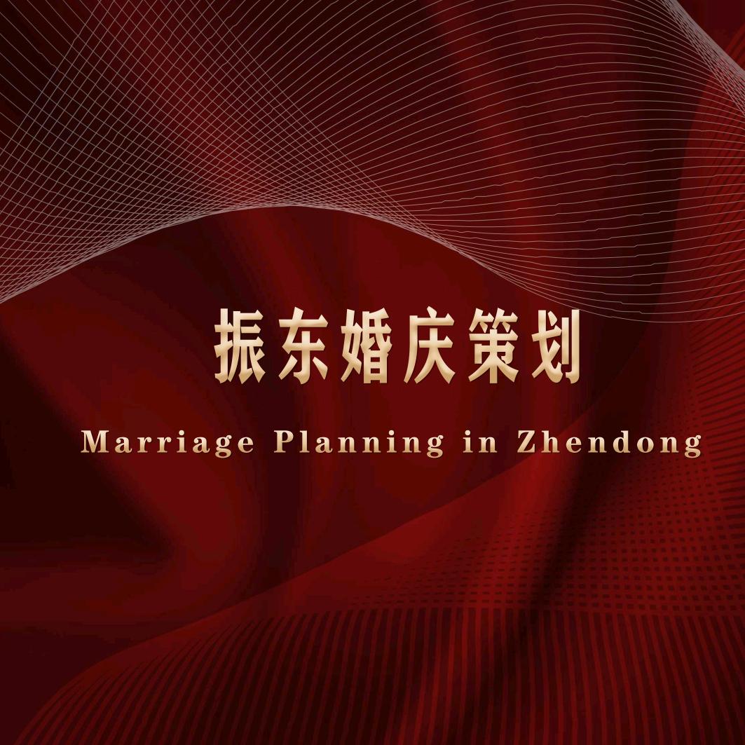 振东婚礼（唢呐大小型演出演大戏）