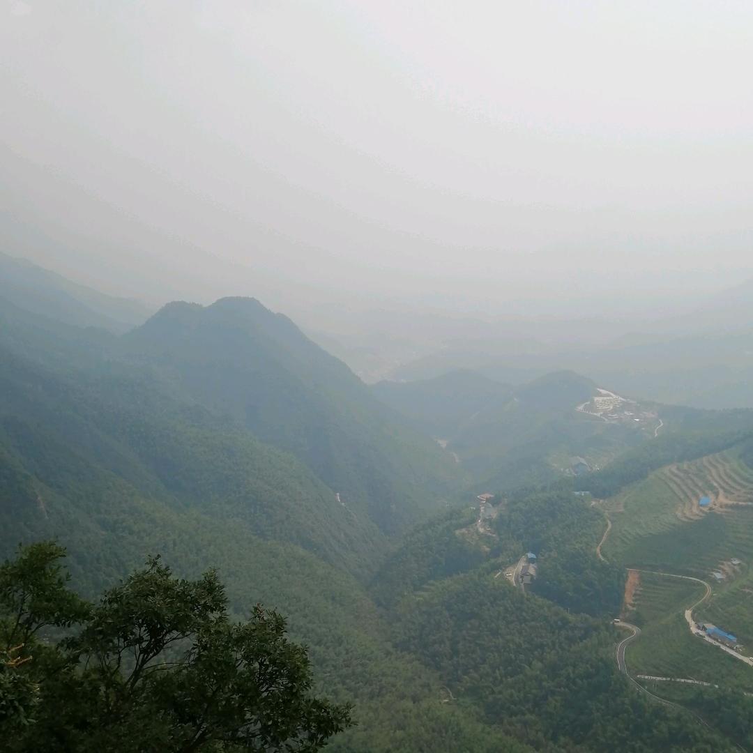 刘大哥