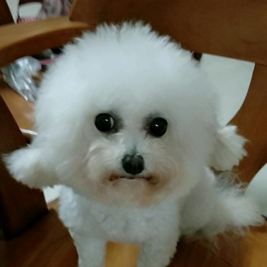 爱熊熊