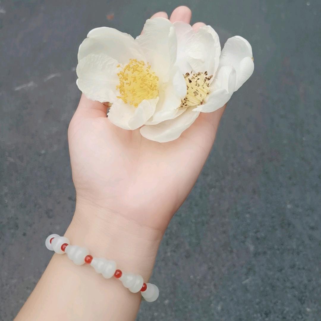 姗姗来迟的姗