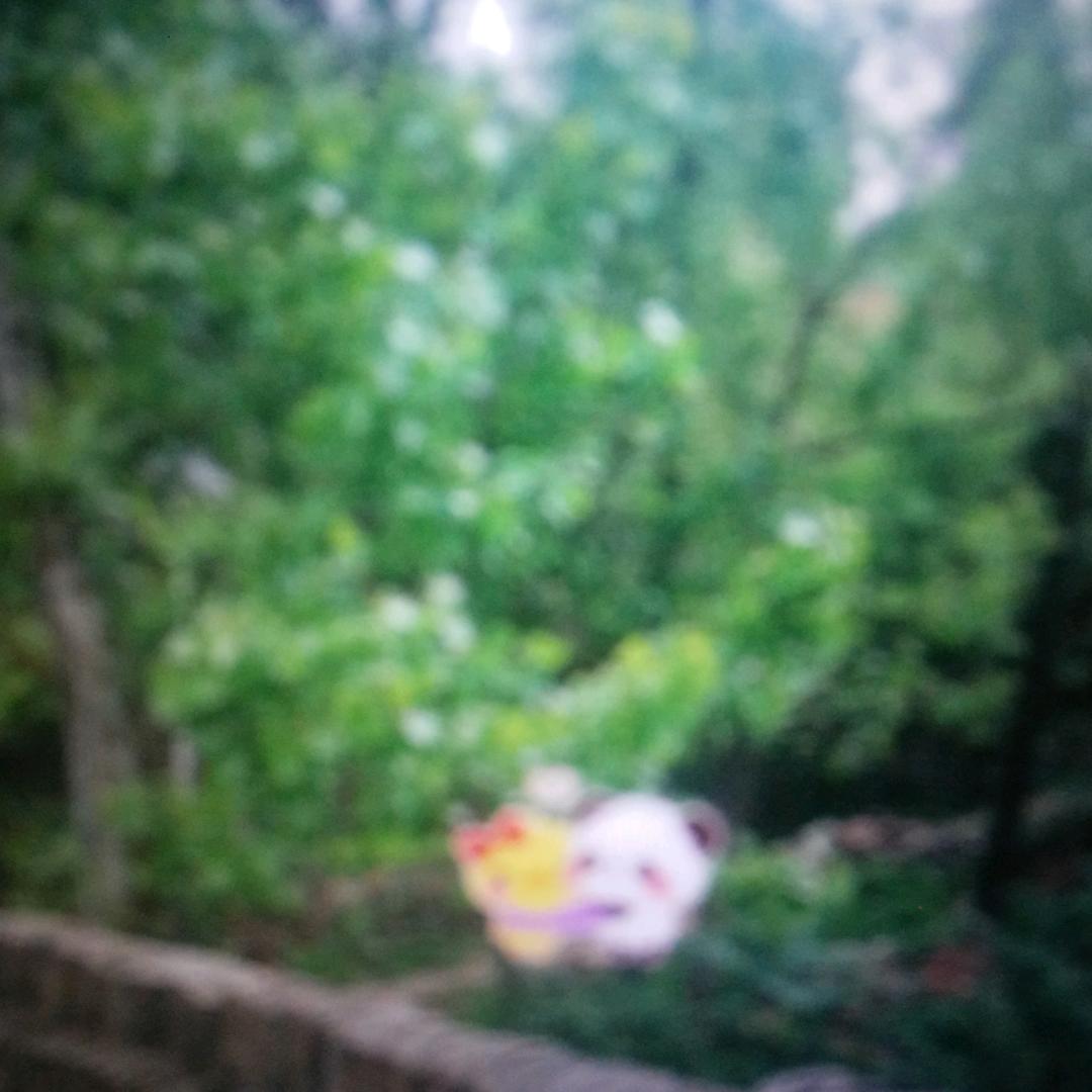 星宇