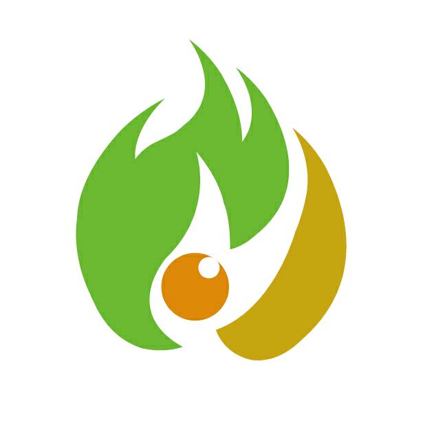 为梦想飞翔