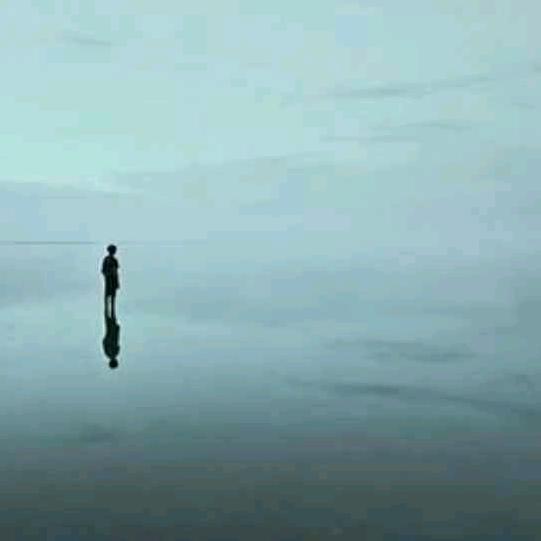 今日有车-程利元