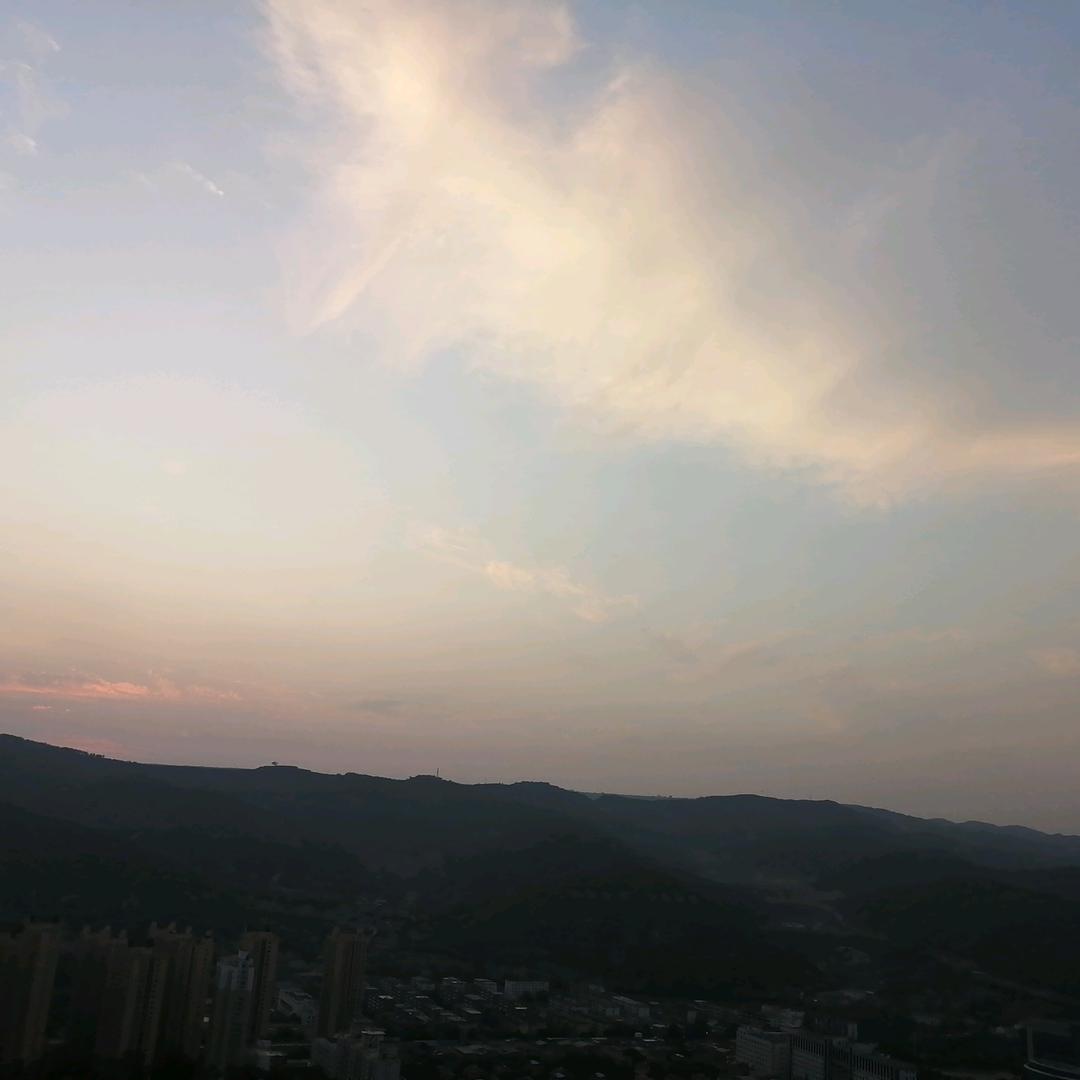 凉城以无爱