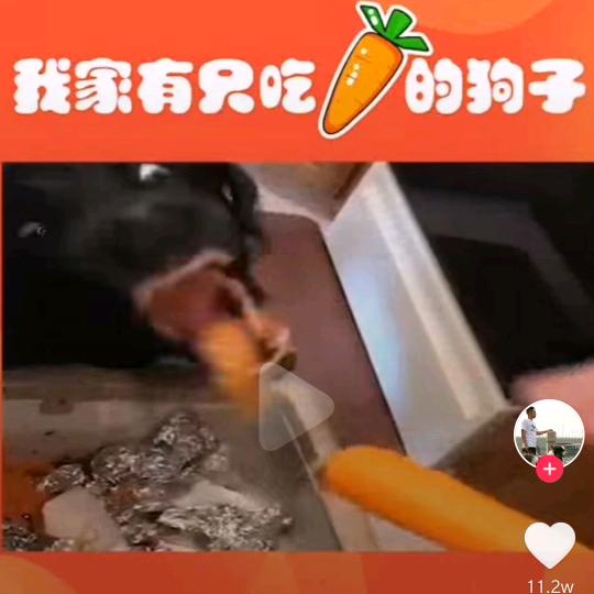 @全世界
