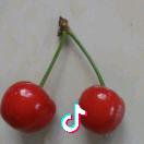 梅阿姨