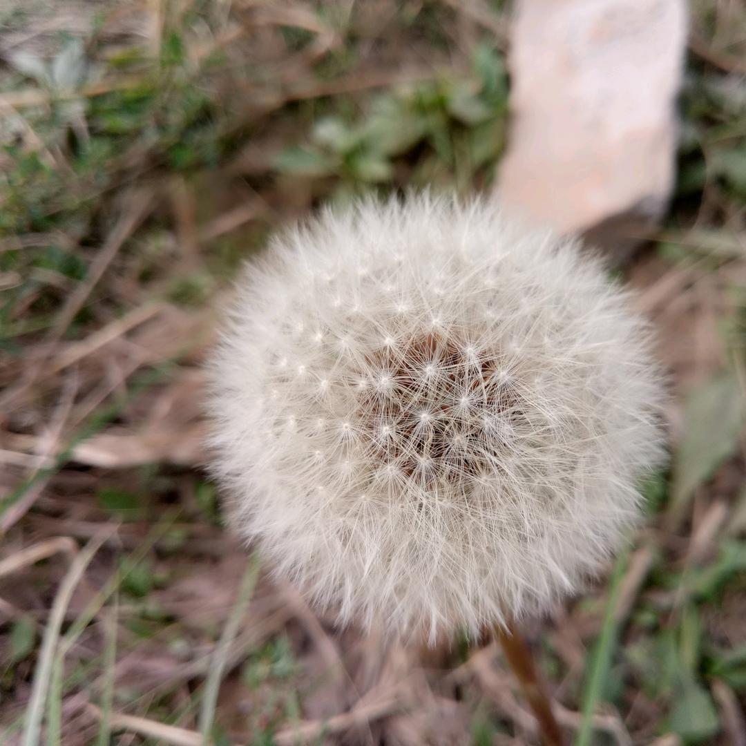 难舍难分
