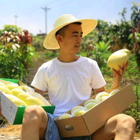 对了农业