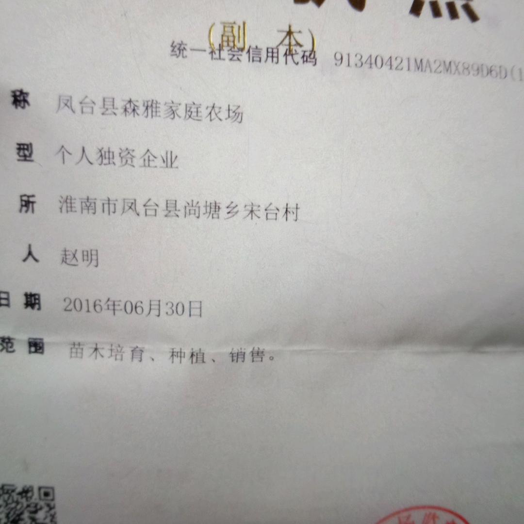 赵明
