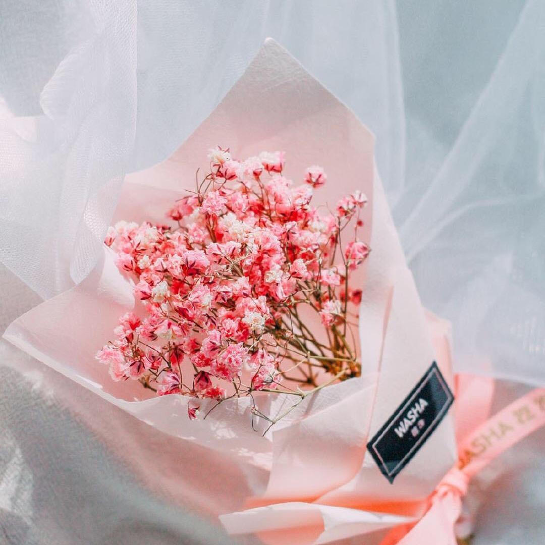 ___向日葵╮微笑