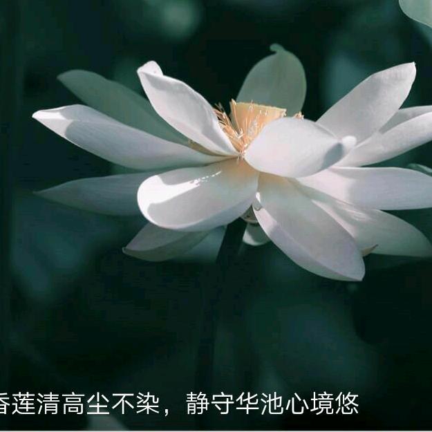 希望........