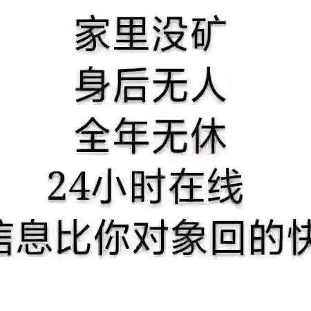 远哥的日常