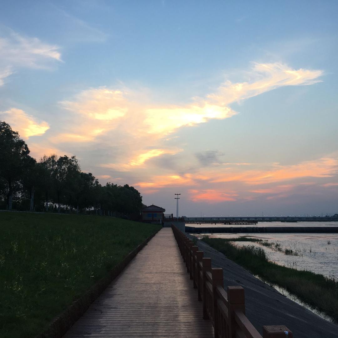 工程知乎