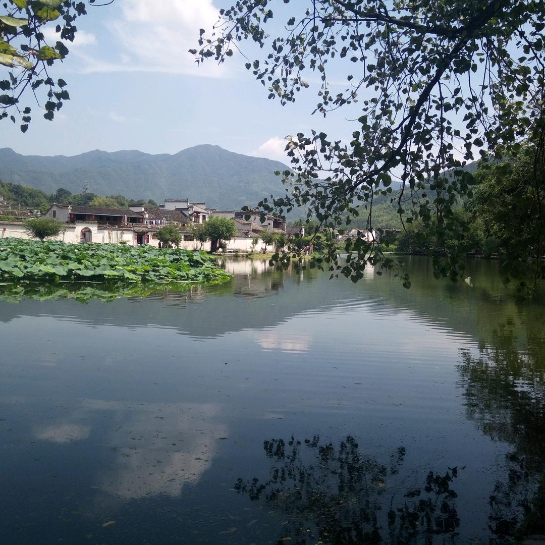 灿君