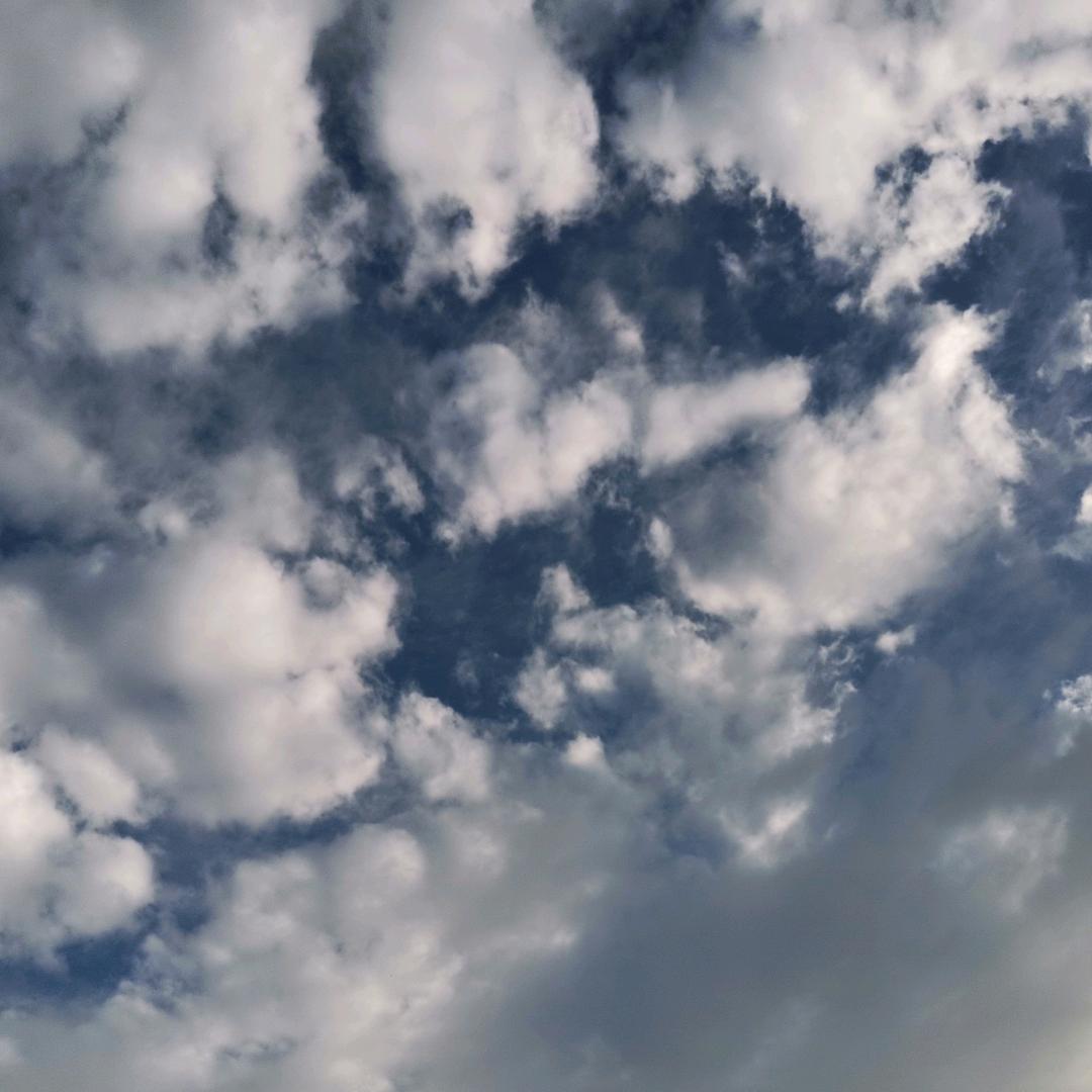 陪伴是最长情的告白