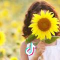 云朵老师🌻