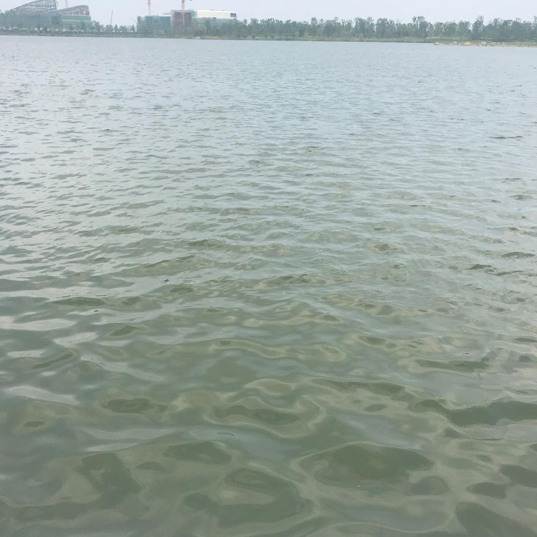 四海为家1