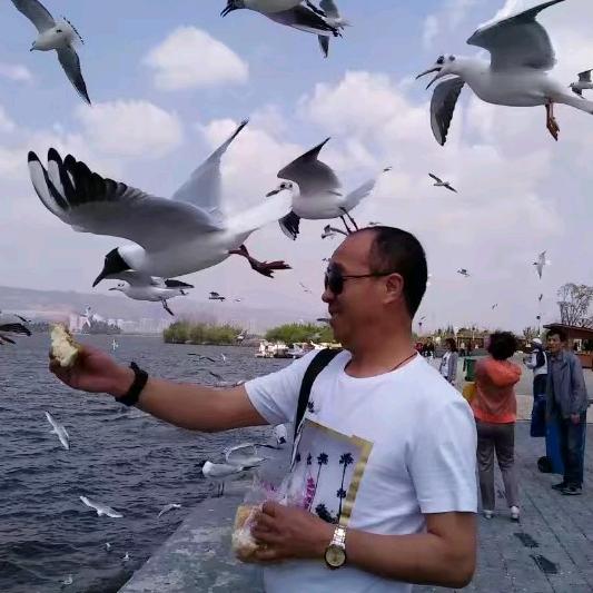 七爷