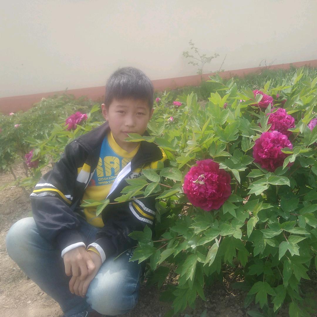 奥曼