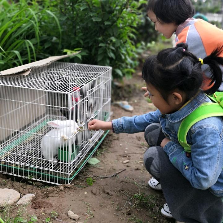 手机用户62077763068