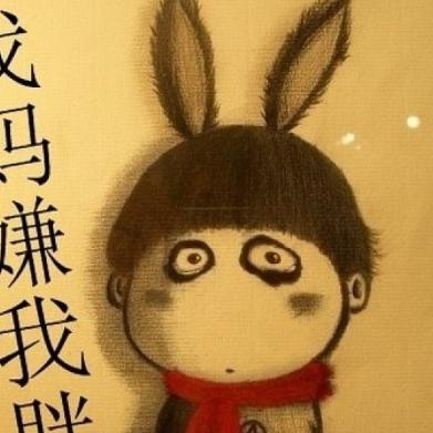 金豆是条灰泰迪