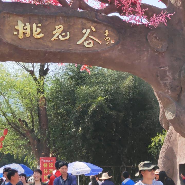 有缘无分