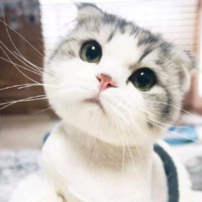 修勾有什么烦恼