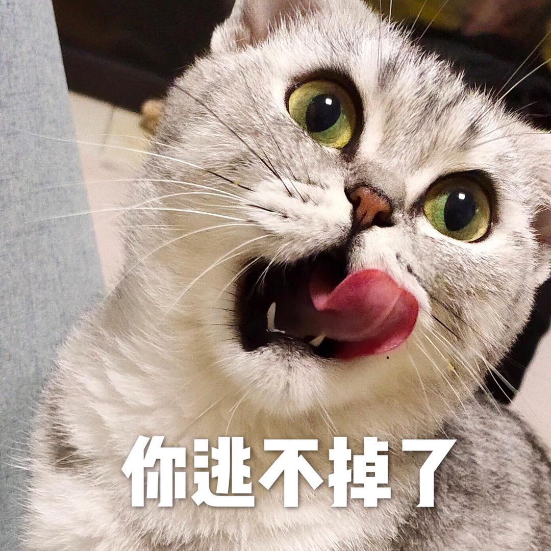 来口锅包又呗@抖音