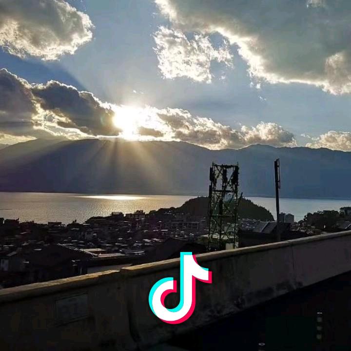 重案之虎达华