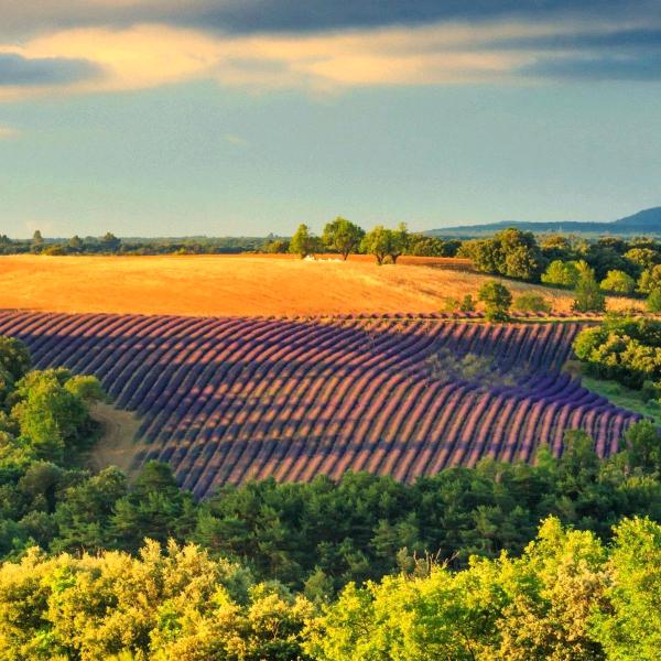 用户2927706788487家和万事兴