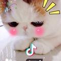 💋ζ簡單点ěr 💞