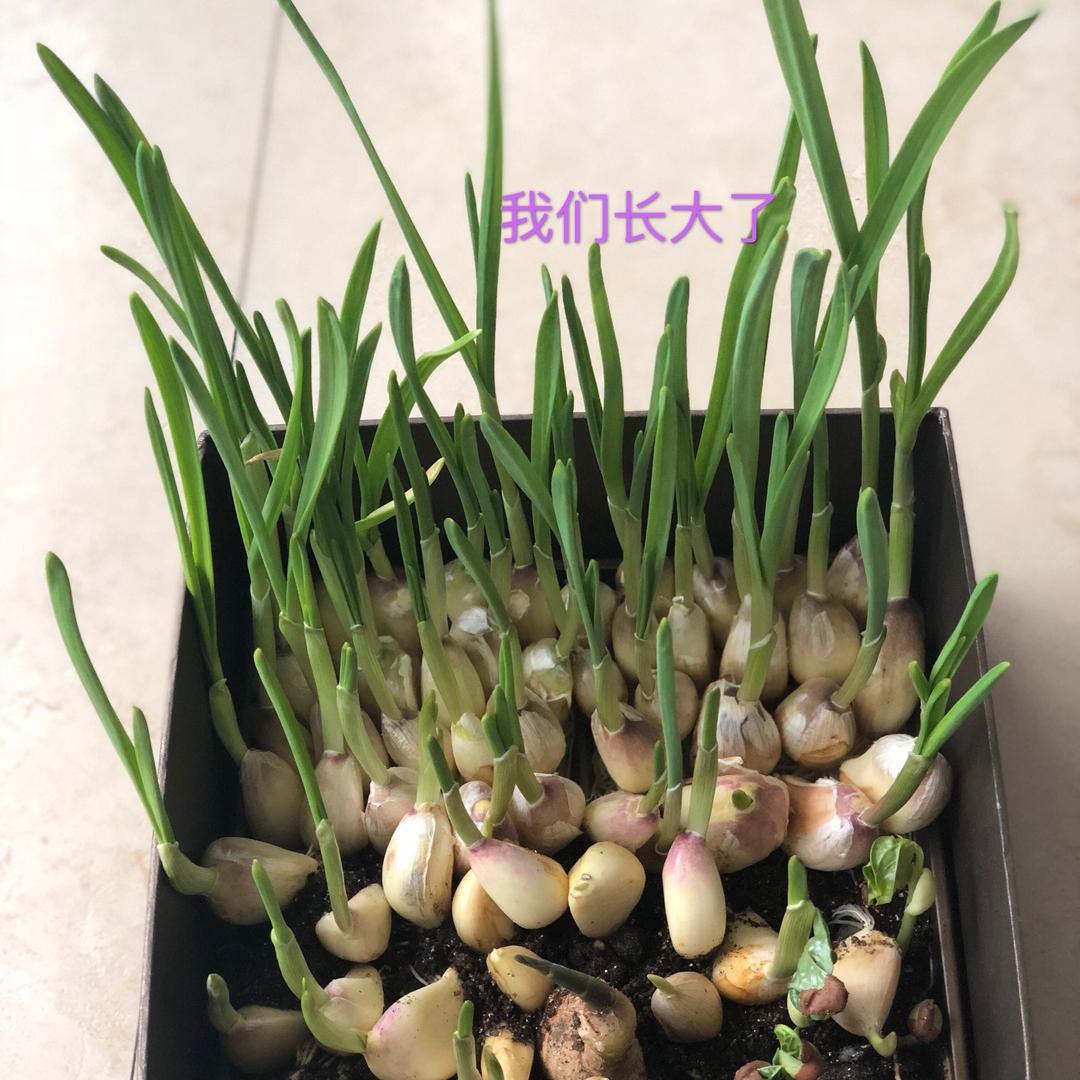 淇姐姐豪弟弟