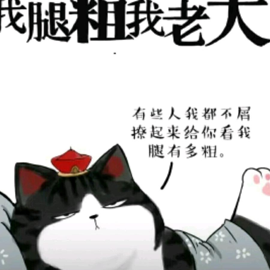 不捉鼠的猫ᯤ ⁵ᴳ