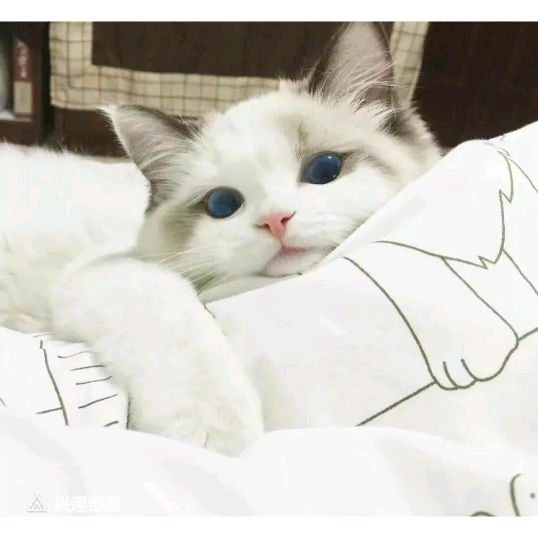 ༬❤༬