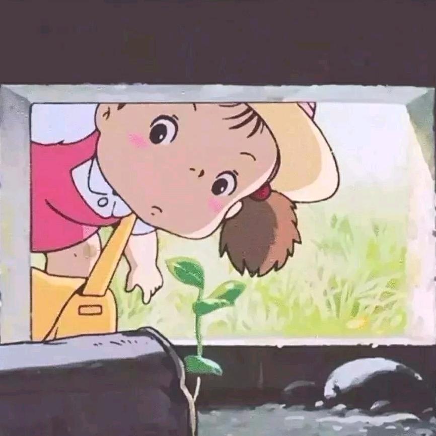 炉石、军师