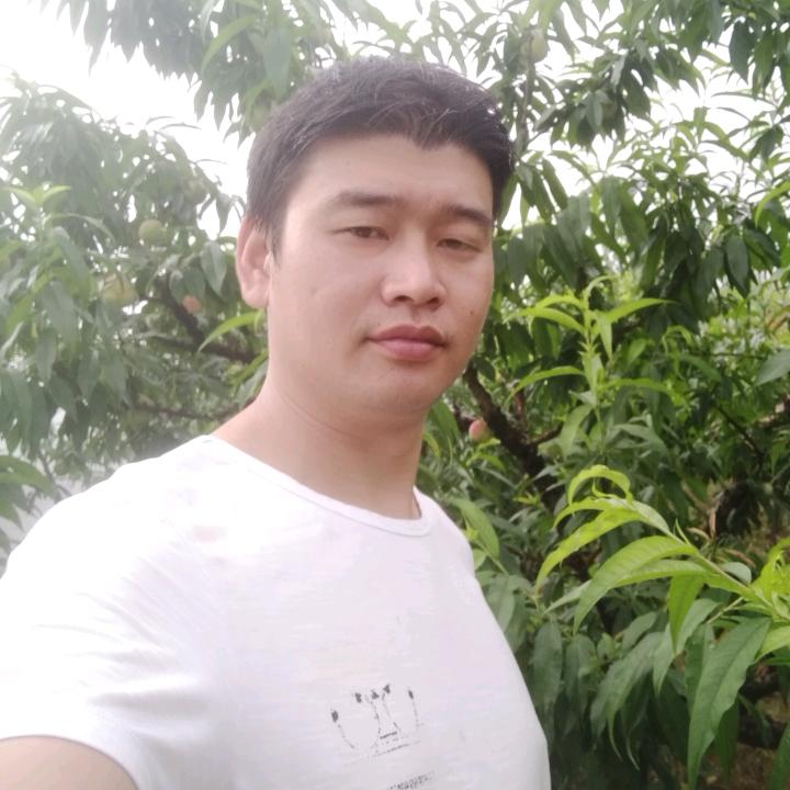忠胜水蜜桃基地