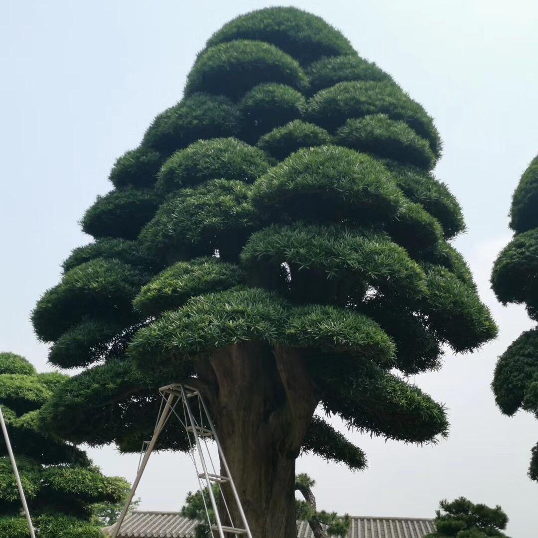 抚州艺祥园林有限公司
