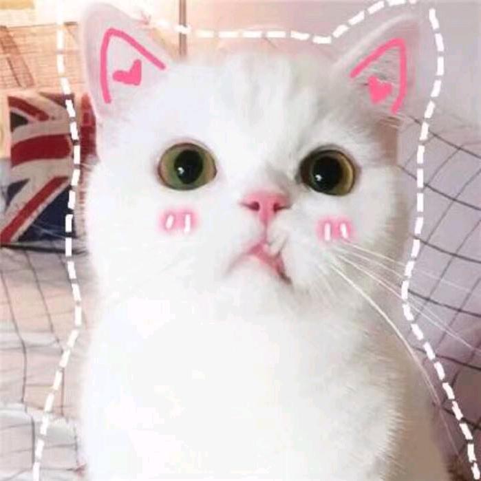 小花喵