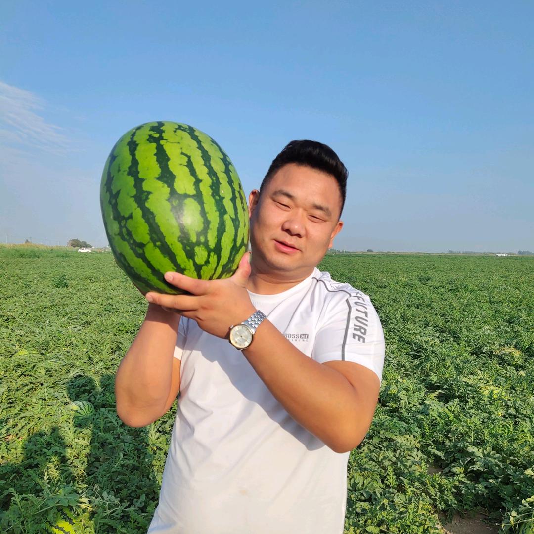 高飞🍉