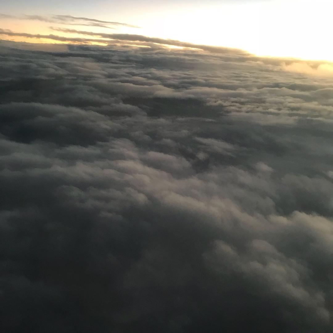 梦想环游世界的猪