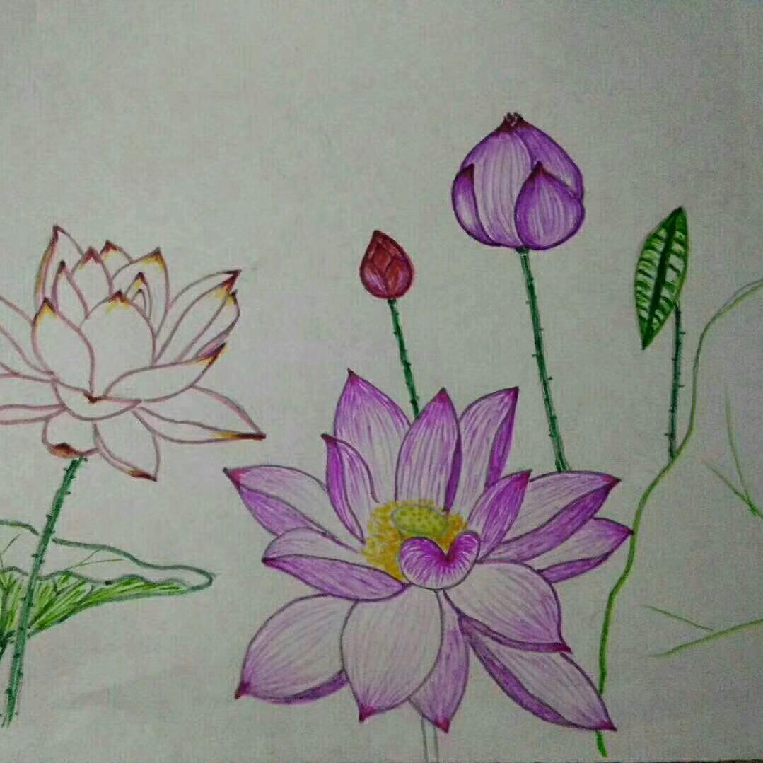 注定你是我的心灵支柱