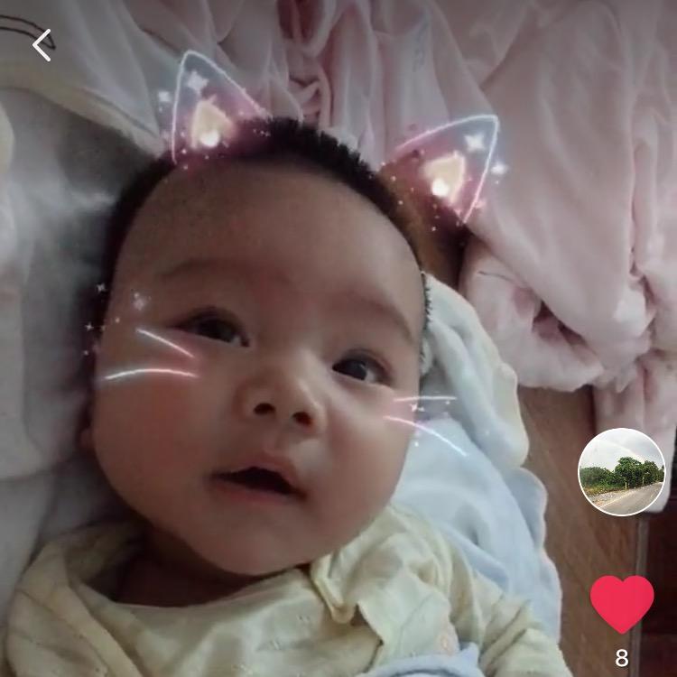 宏宏