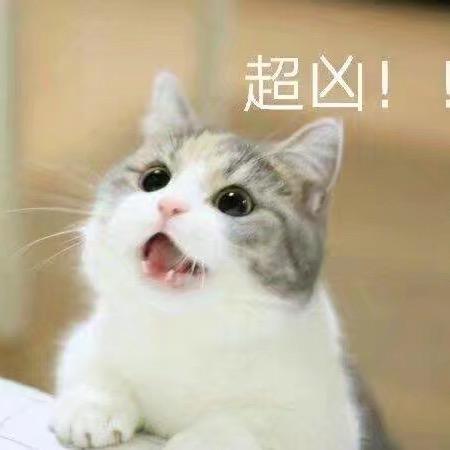 咸鱼卤肉饭