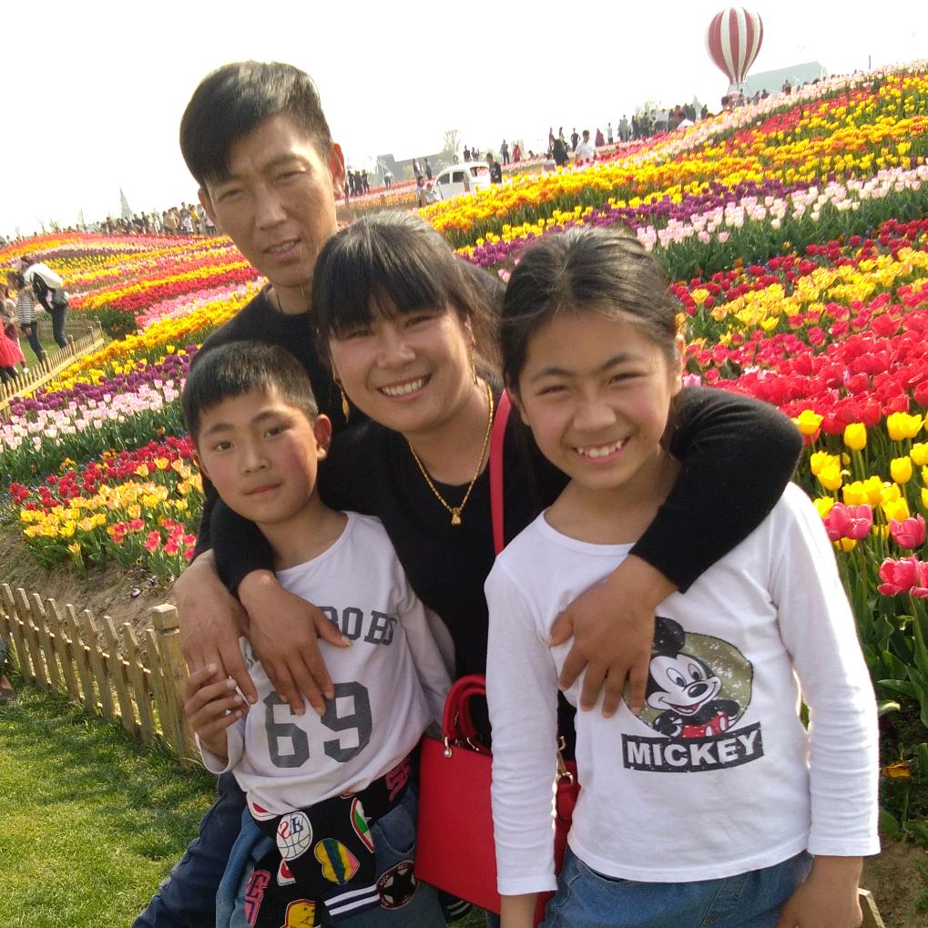 专业收割油菜籽小麦水稻黄豆