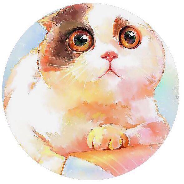 朱大菜的猫