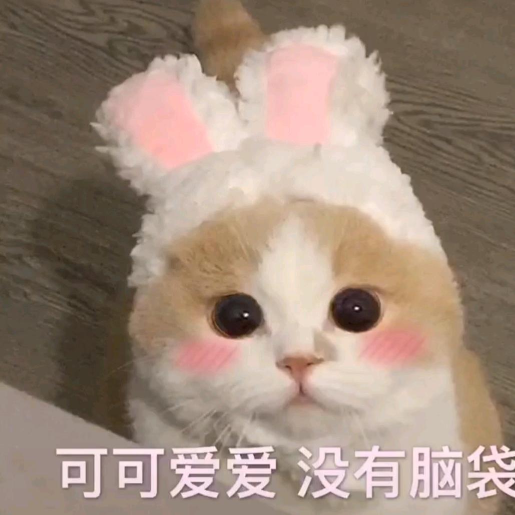 温吞世俗
