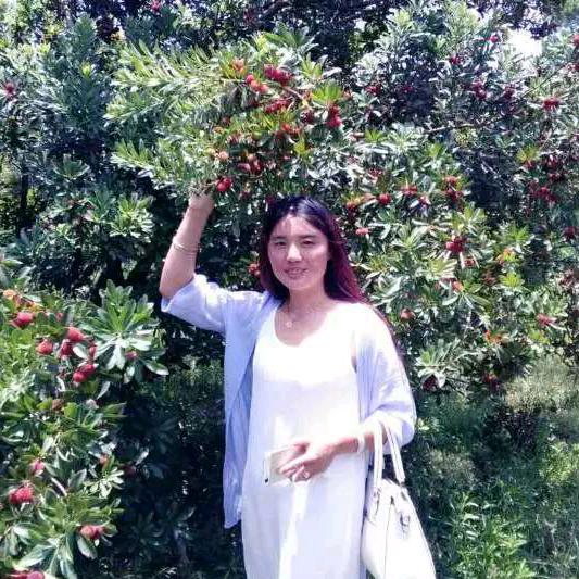 椰箩碧绿果树苗木专卖店贵州碧绿果圃场