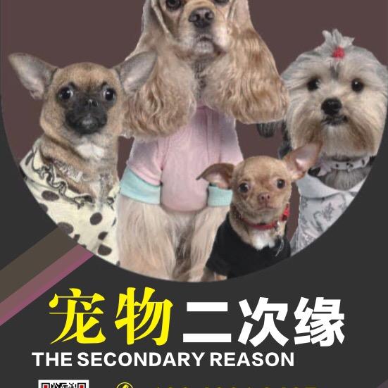 做标本的老王